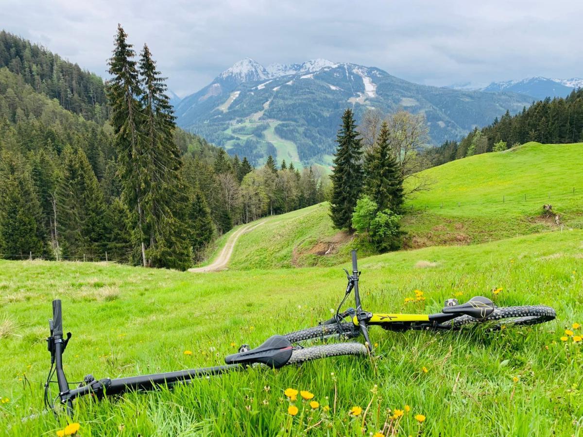 Bergkristallhaus Ramsau am Dachstein Εξωτερικό φωτογραφία
