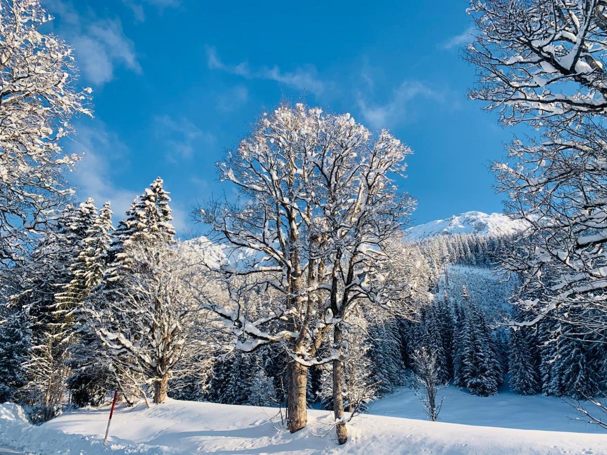 Bergkristallhaus Ramsau am Dachstein Εξωτερικό φωτογραφία
